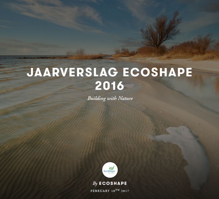 Jaarverslag 2016