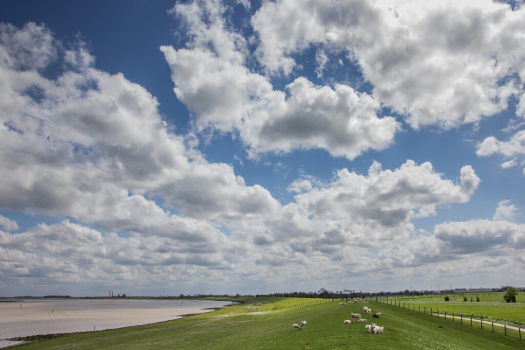 Start werkzaamheden Brede Groene Dijk