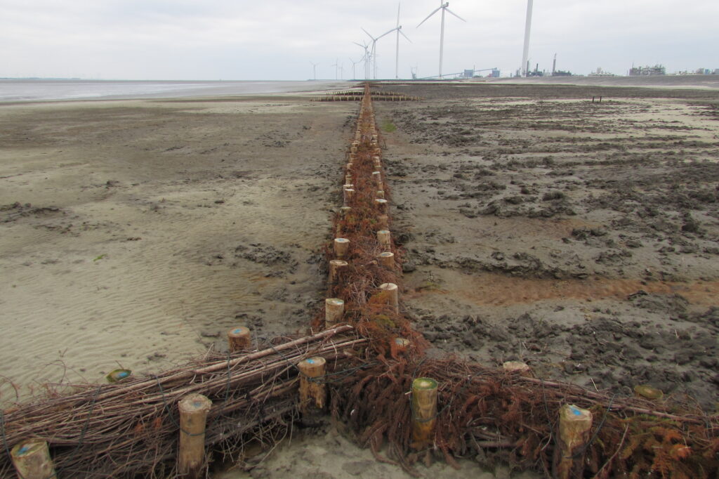 Monitoring kwelders Marconi Delfzijl in volle gang