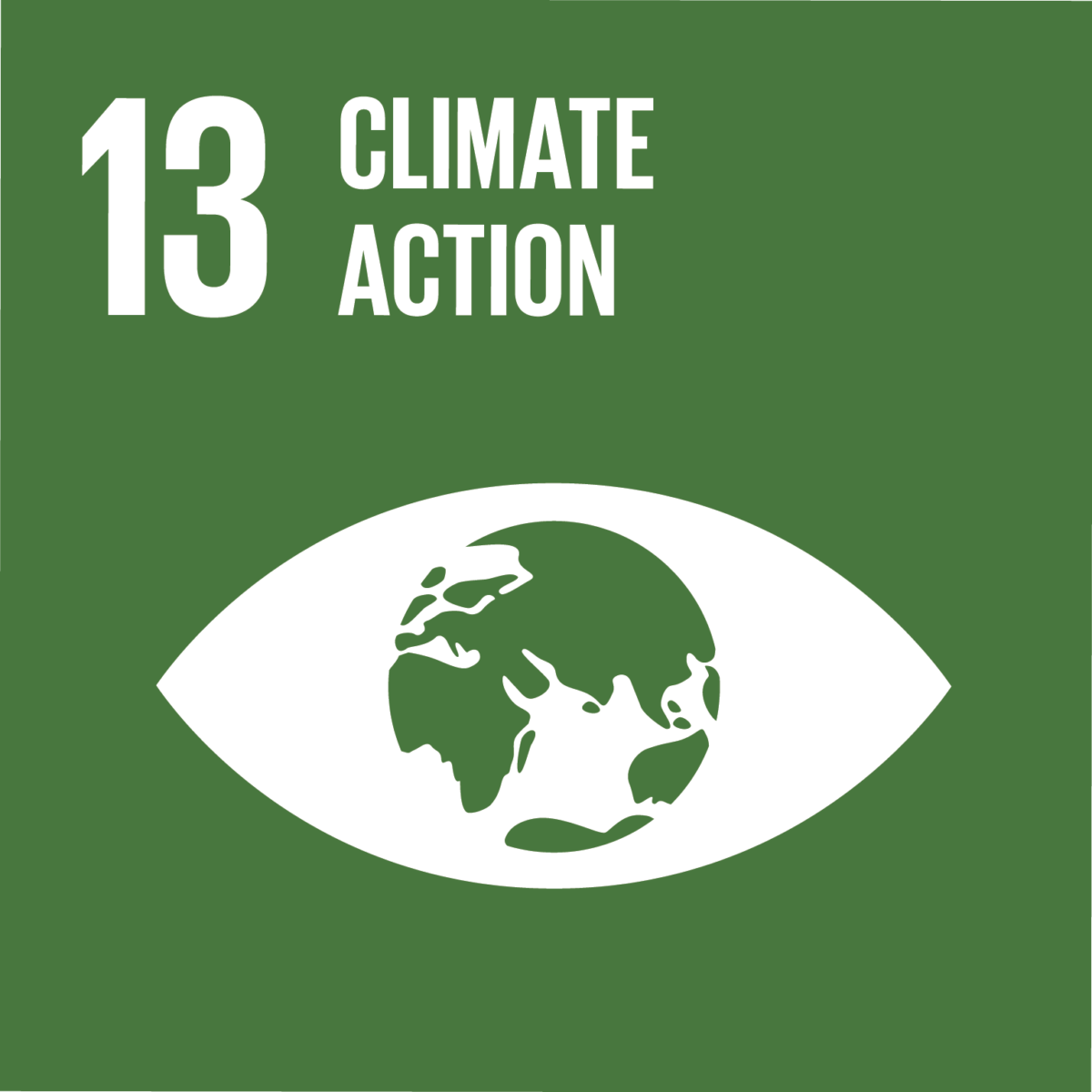 13  Climate Action